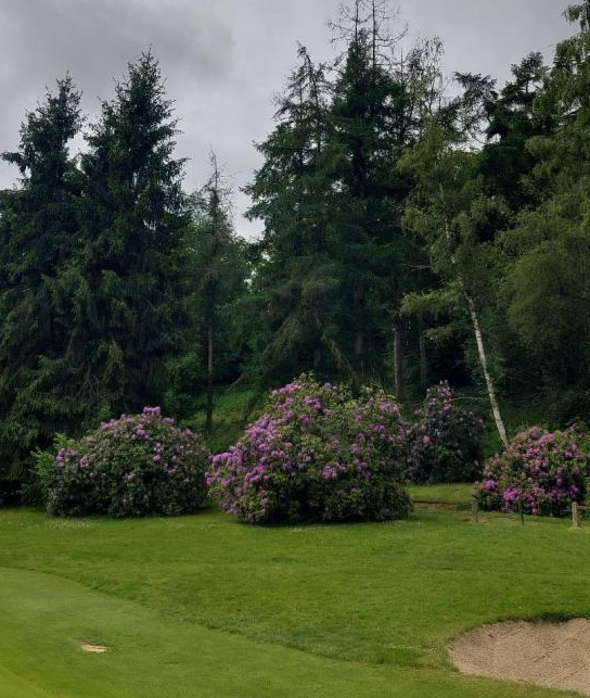 Association de golf Caen