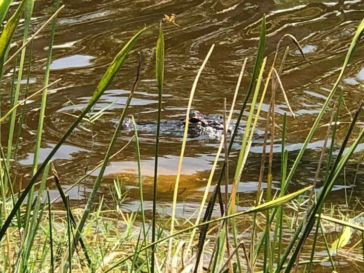 Activités et sorties Caen