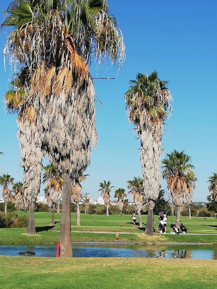 Sortie culturelle Caen