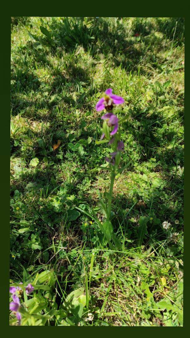 Sortie nocturne Caen