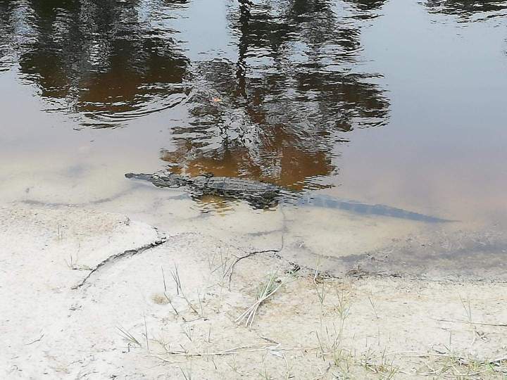 Sortie nocturne Caen
