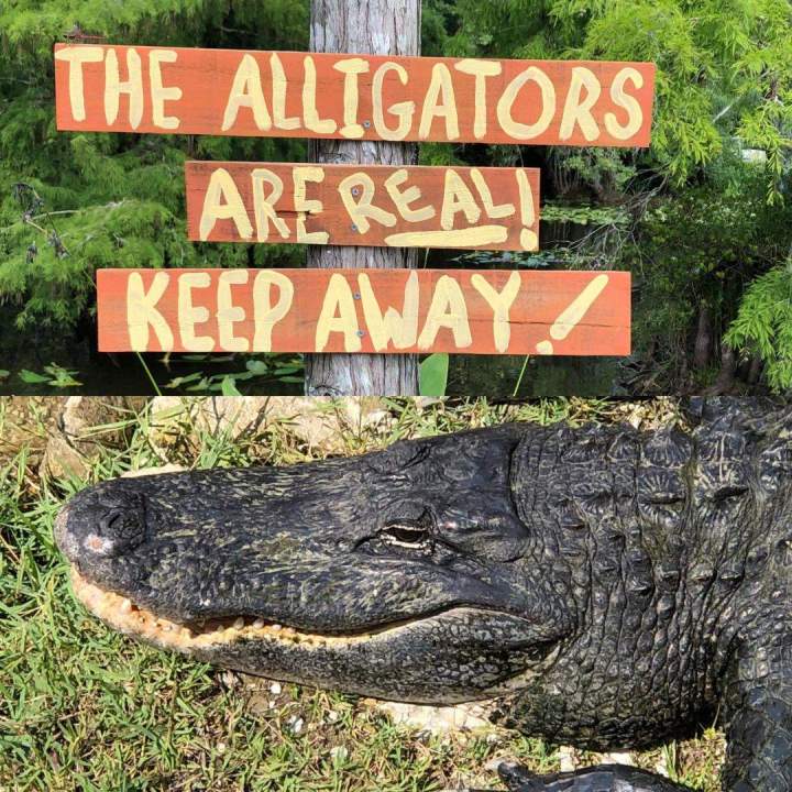 Sortie nocturne Caen