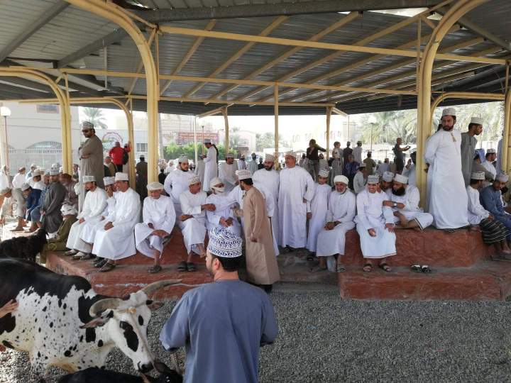 Sortie originale Caen