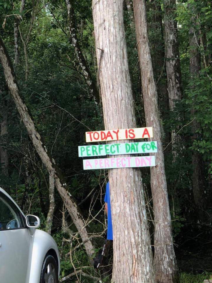 Sortie originale Caen