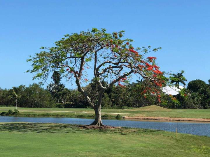 Sortie pas chère Caen