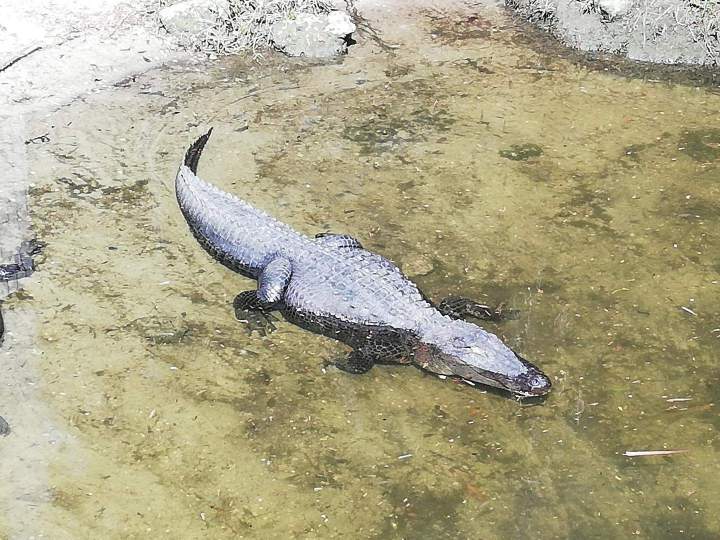 Sorties week end Caen