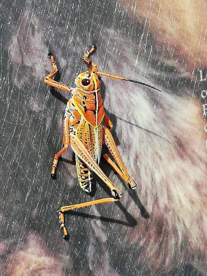 Sorties week end Caen